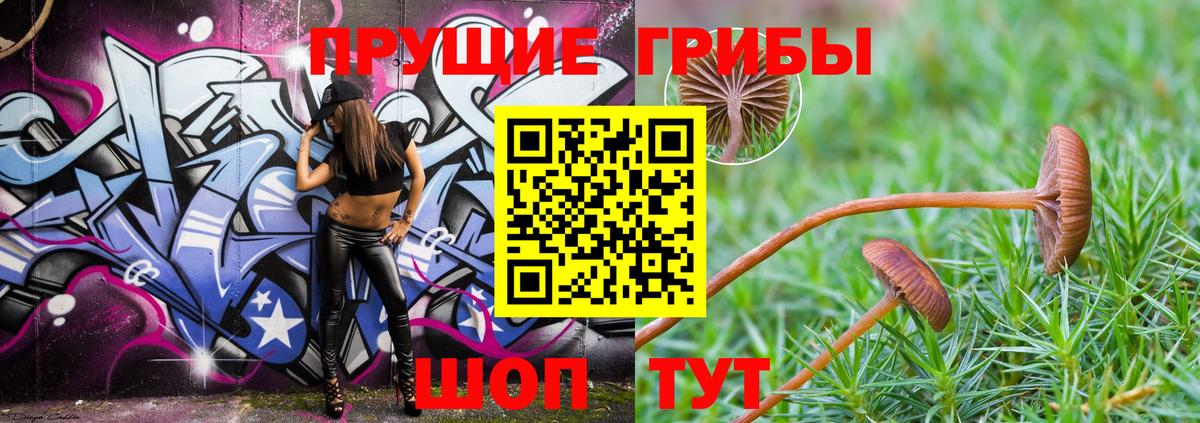 Псилоцибиновые грибы Psilocybe Златоуст