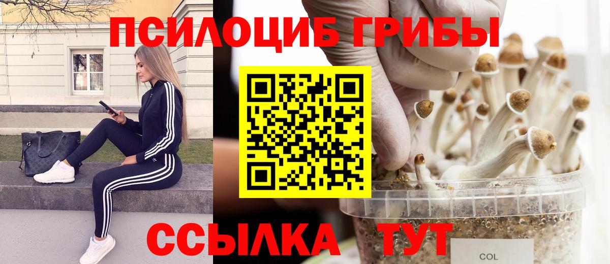 Псилоцибиновые грибы мухоморы  Вход с VPN  Златоуст 